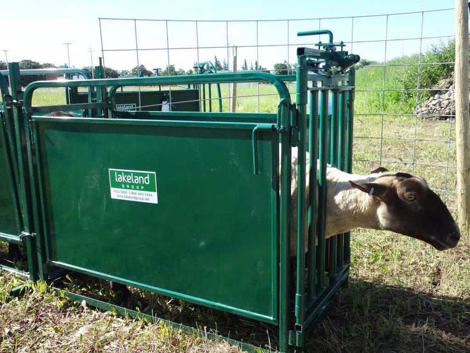 Head Gates - Lakeland Self Catch Headgate and Chute - Lakeland Farm and Ranch