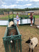 Head Gates - Lakeland Self Catch Headgate and Chute - Lakeland Farm and Ranch