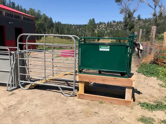 Head Gates - Lakeland Self Catch Headgate and Chute - Lakeland Farm and Ranch