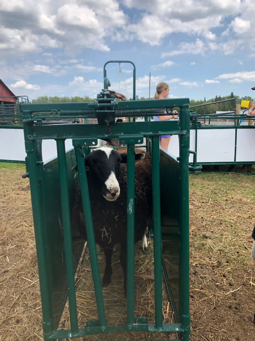 Head Gates - Lakeland Self Catch Headgate and Chute - Lakeland Farm and Ranch