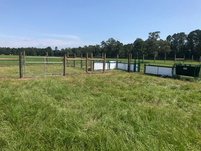 Handling Packages - Lakeland SG200 – Sheep & Goat Handling System - Lakeland Farm and Ranch