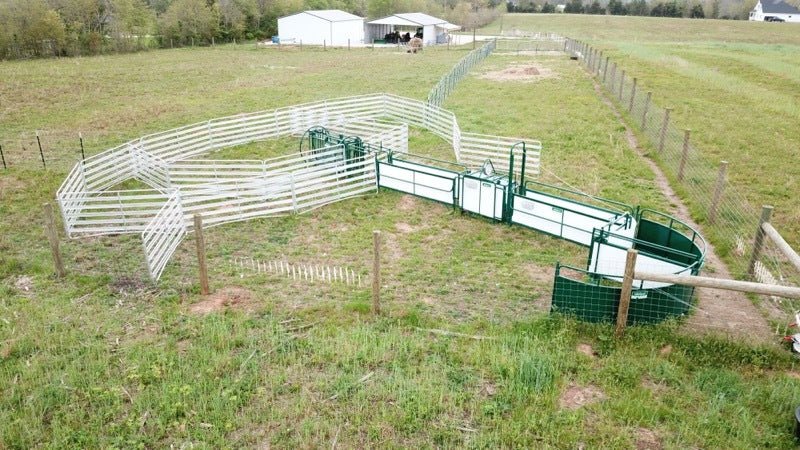 Handling Packages - Lakeland SG300 - Sheep & Goat Handling System - Lakeland Farm and Ranch