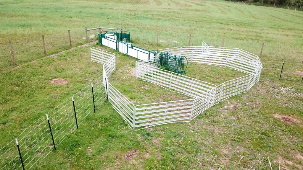 Handling Packages - Lakeland SG300 - Sheep & Goat Handling System - Lakeland Farm and Ranch