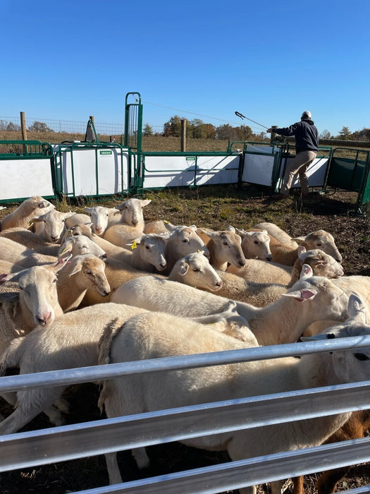 Handling Packages - Lakeland SG300 - Sheep & Goat Handling System - Lakeland Farm and Ranch