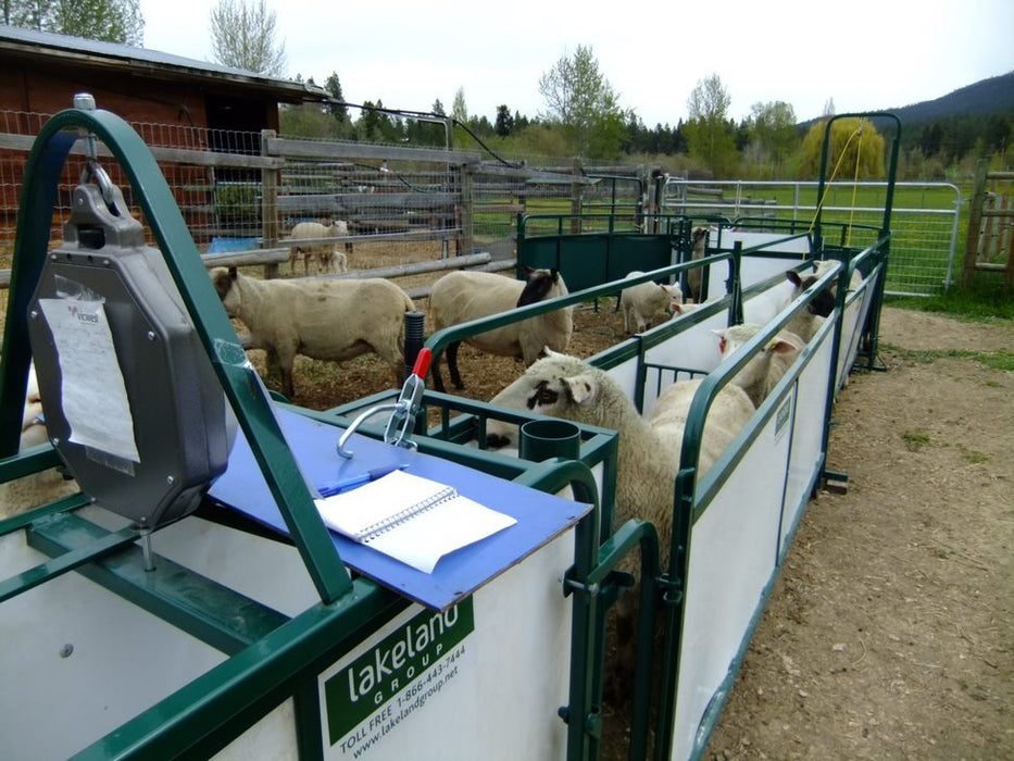 Handling Packages - Lakeland SG300 - Sheep & Goat Handling System - Lakeland Farm and Ranch