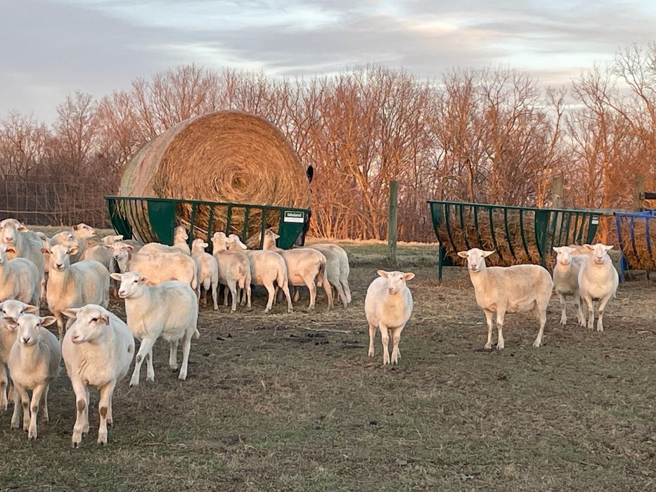 Basket Feeders - Lakeland Sheep Basket Feeder - Lakeland Farm and Ranch