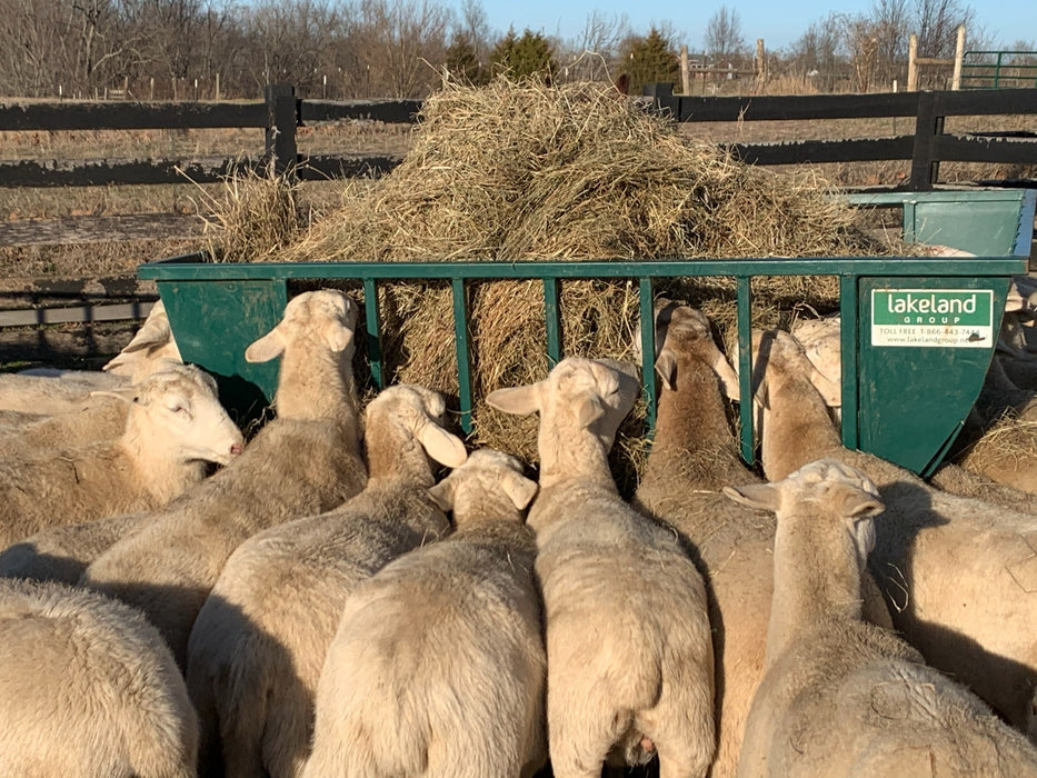 Basket Feeders - Lakeland Sheep Basket Feeder - Lakeland Farm and Ranch