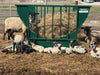 Basket Feeders - Lakeland Sheep Basket Feeder with Pan - Lakeland Farm and Ranch
