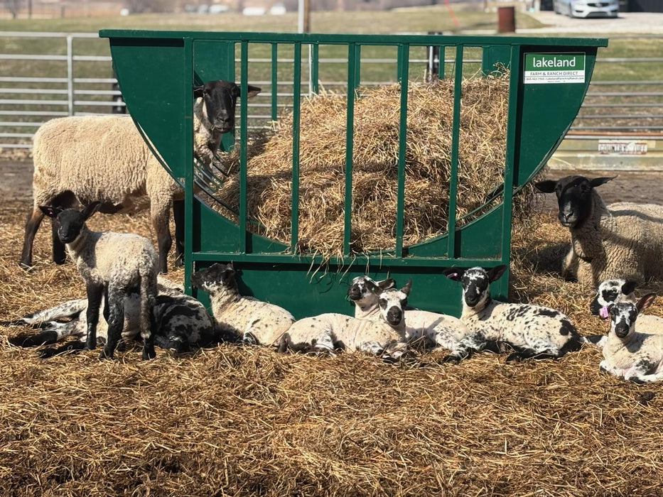 Basket Feeders - Lakeland Sheep Basket Feeder with Pan - Lakeland Farm and Ranch