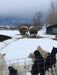 Basket Feeders - Lakeland Sheep Basket Feeder with Pan - Lakeland Farm and Ranch
