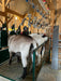 Sheep and Goat Handling Equipment - Lakeland Sheep/Goat Milking Stand with Headlocks - Lakeland Farm and Ranch