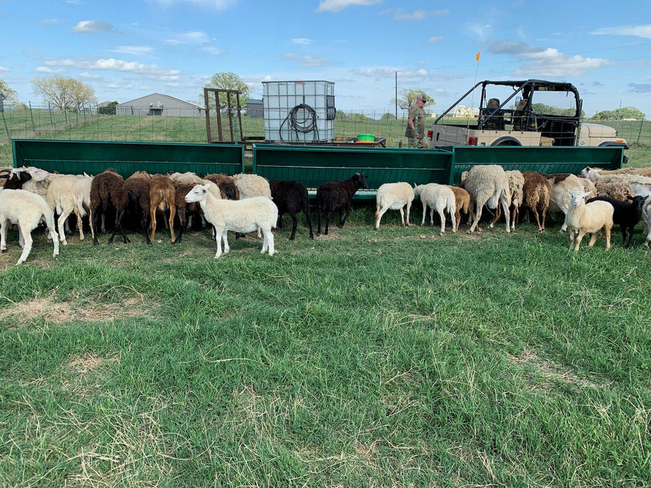 Hay Feeders - Lakeland Single - Sided Hay & Grain Feeder - Lakeland Farm and Ranch