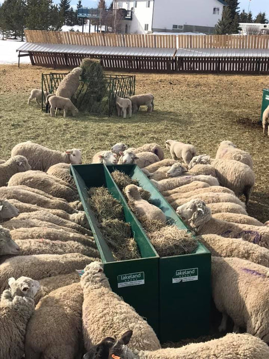 Hay Feeders - Lakeland Single - Sided Hay & Grain Feeder - Lakeland Farm and Ranch
