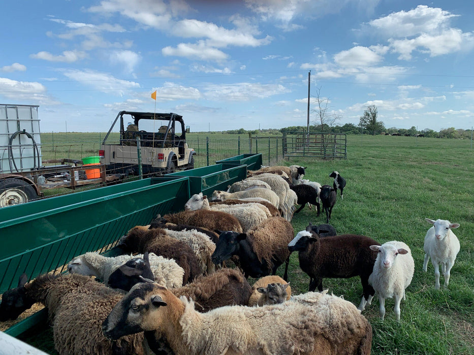 Hay Feeders - Lakeland Single - Sided Hay & Grain Feeder - Lakeland Farm and Ranch