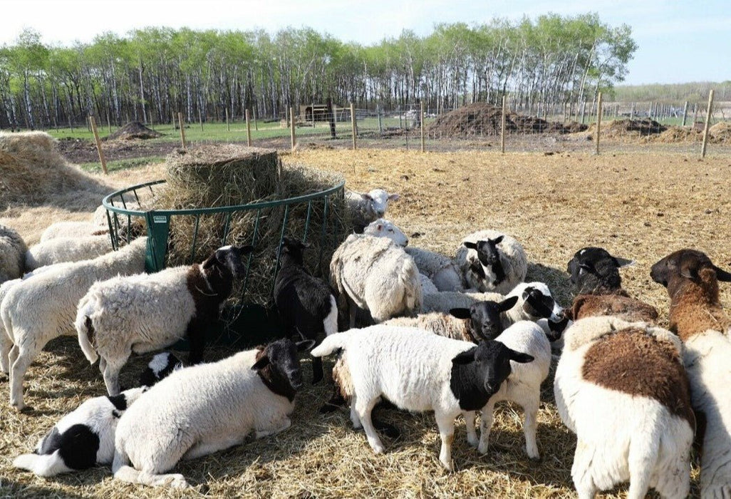 Bale Feeders - Lakeland Slanted Bar Round Bale Feeder - Lakeland Farm and Ranch