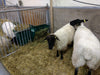 Hay Racks & Troughs - Lakeland Small Hay Rack - Lakeland Farm and Ranch