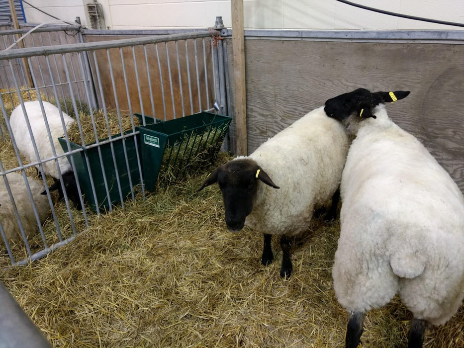 Hay Racks & Troughs - Lakeland Small Hay Rack - Lakeland Farm and Ranch