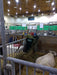 Hay Racks & Troughs - Lakeland Small Hay Rack - Lakeland Farm and Ranch