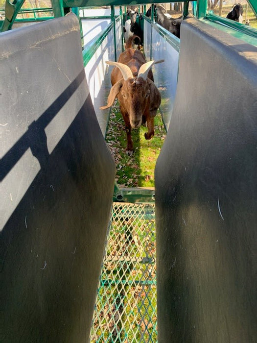 Sheep & Goat Handling Equipment Accessory - Lakeland Spin Trim Chute Pads only - Lakeland Farm and Ranch