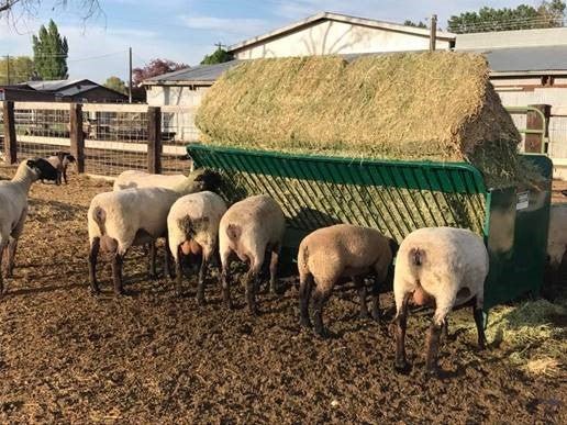 Bale Feeders - Lakeland Square Bale Hay and Grain Feeder - Lakeland Farm and Ranch