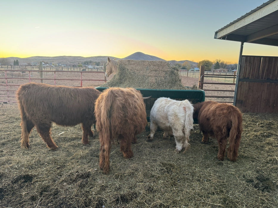 Bale Feeders - Lakeland Square Bale Hay and Grain Feeder - Lakeland Farm and Ranch
