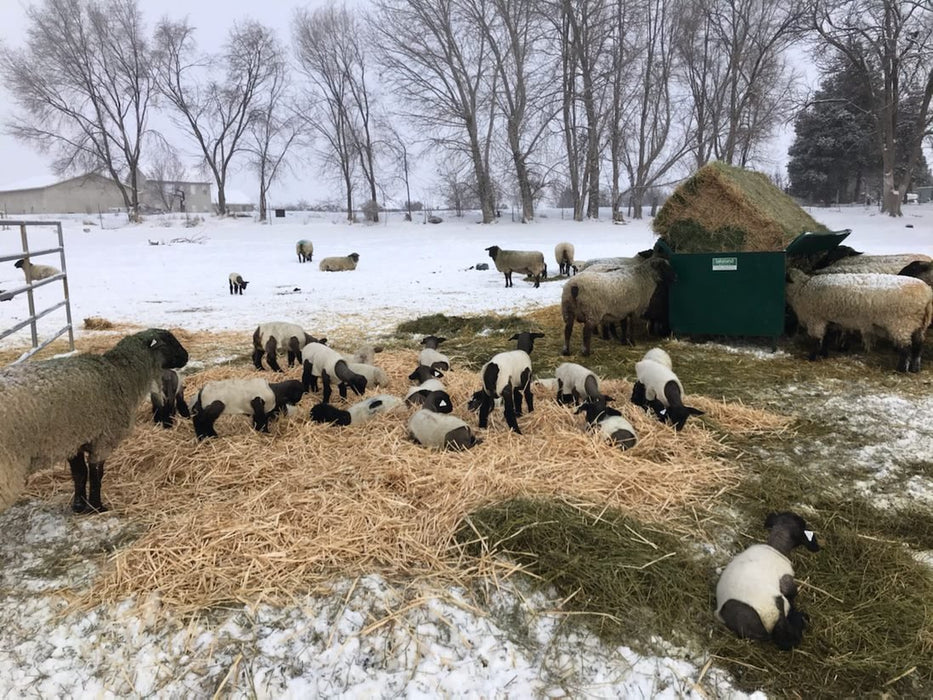 Bale Feeders - Lakeland Square Bale Hay and Grain Feeder - Lakeland Farm and Ranch