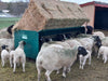 Bale Feeders - Lakeland Square Bale Hay and Grain Feeder - Lakeland Farm and Ranch