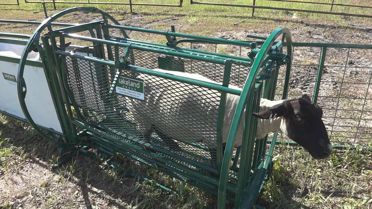 Handling Packages - Lakeland The Deluxe Shepherdess Package - Lakeland Farm and Ranch