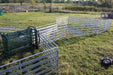 Handling Packages - Lakeland The Starter Shepherdess Package - Lakeland Farm and Ranch