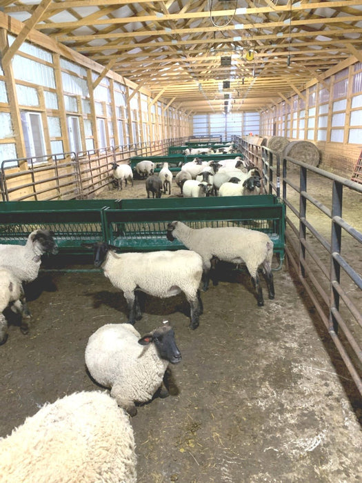Hay Feeders - Lakeland Walk Through Hay and Grain Feeder - Lakeland Farm and Ranch