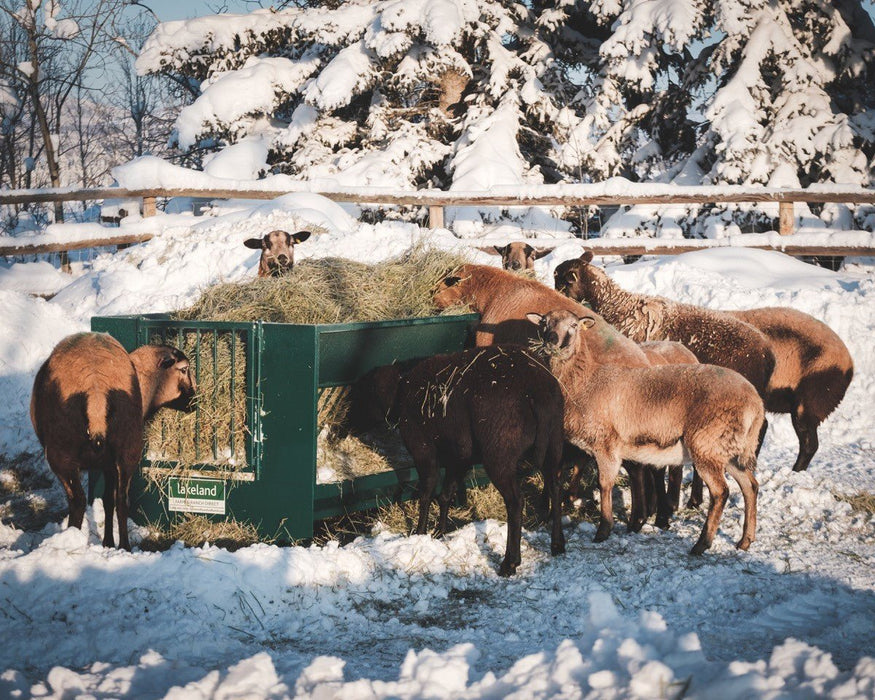 Hay Feeders - Lakeland Walk Through Hay and Grain Feeder - Lakeland Farm and Ranch