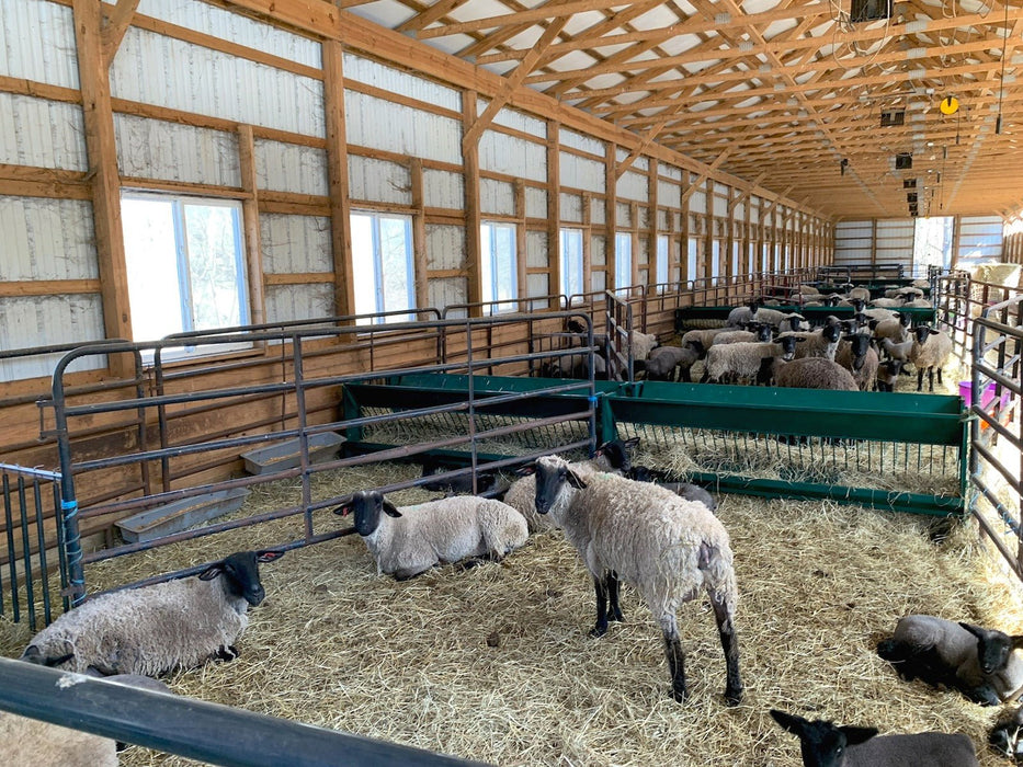 Hay Feeders - Lakeland Walk Through Hay and Grain Feeder - Lakeland Farm and Ranch