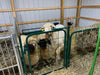 Panels & Gates - Lakeland Walk - Through Man Door - Lakeland Farm and Ranch