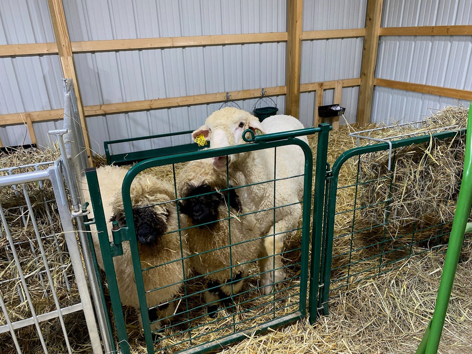 Panels & Gates - Lakeland Walk - Through Man Door - Lakeland Farm and Ranch