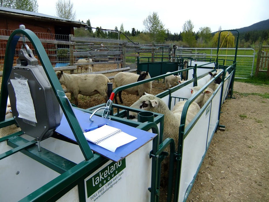 Crowding Tubs - Lakeland Working Chute and Crowding Tub - Lakeland Farm and Ranch