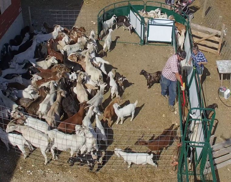 Crowding Tubs - Lakeland Working Chute and Crowding Tub - Lakeland Farm and Ranch
