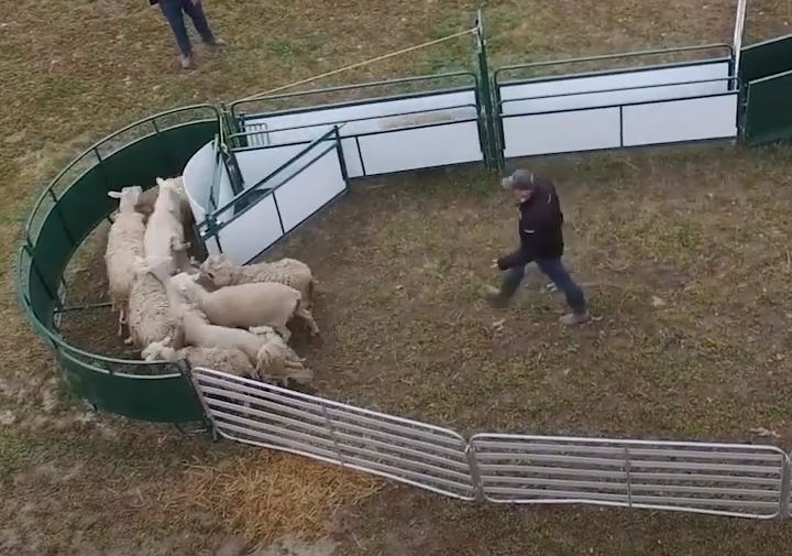 Crowding Tubs - Lakeland Working Chute and Crowding Tub - Lakeland Farm and Ranch
