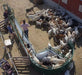 Crowding Tubs - Lakeland Working Chute and Crowding Tub - Lakeland Farm and Ranch