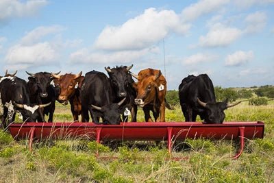 Bunk Feeders - Priefert 10' Bunk Feeder w/Powder Coated Metal Liner - Priefert