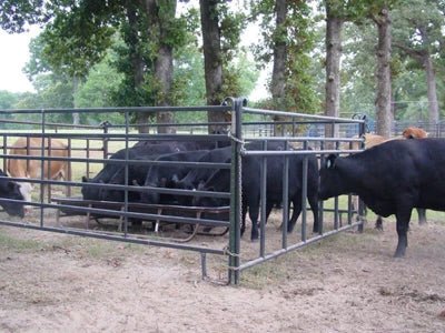 Livestock Panels - Priefert 12' Premier Calf Pass Panel - Priefert