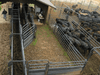 Alleys - Priefert 20' Sheeted Adjustable Alley w/Alley Gate & Preg Panels - Priefert