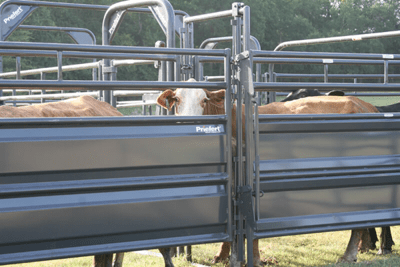 Alleys - Priefert 20' Sheeted Adjustable Alley w/Alley Gate & Preg Panels - Priefert