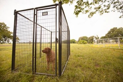 Dog Kennels - Priefert 6' Tall Premier Kennel Kits - Priefert