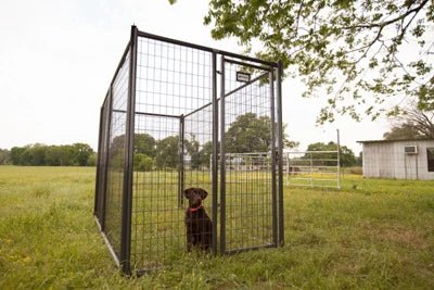 Dog Kennels - Priefert 6' Tall Premier Kennel Kits - Priefert
