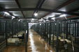 Dog Kennels - Priefert 6' Tall Premier Kennel Kits - Priefert
