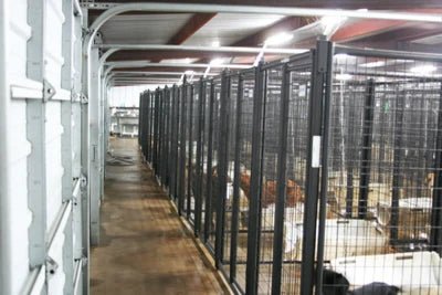 Dog Kennels - Priefert 6' Tall Premier Kennel Kits - Priefert