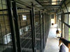 Dog Kennels - Priefert 6' Tall Premier Kennel Kits - Priefert
