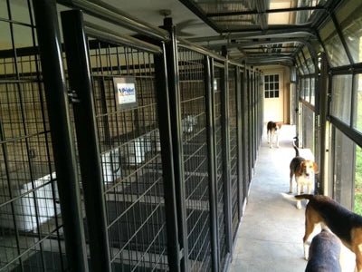 Dog Kennels - Priefert 6' Tall Premier Kennel Kits - Priefert