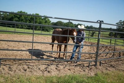 Livestock Panels - Priefert 6' Tall Premier Panels - Priefert