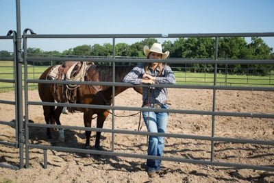 Livestock Panels - Priefert 6' Tall Premier Panels - Priefert